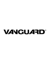 VanguardBLUE FLAME VP2800BTC