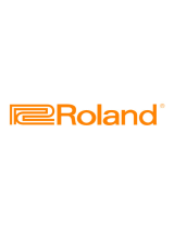 Roland DM-2100 Bedienungsanleitung