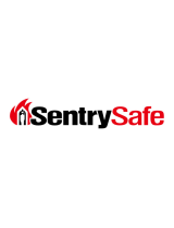 SentrySafe1210