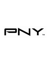 PNY3D Vision Pro