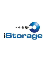 iStorageDatashure SSD