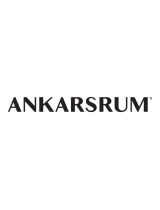 AnkarsrumAKM6290b