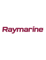 RaymarineMounting Template