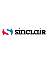 SinclairCCM09