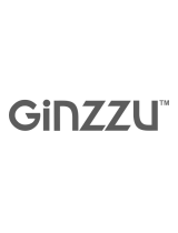 GinzzuHC-T221