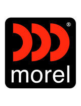 MorelX8
