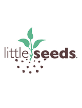 Little SeedsSierra Ridge Mesa Twin Headboard