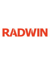 Radwin2000 Series