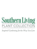 Southern Living Plant Collection9333Q