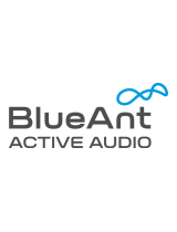 BlueAnt WirelessT1