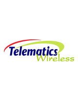 Telematics WirelessNTAXMETER21