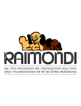 Raimondi3-way Globe Valve for feedwater inlet bypass IOM
