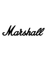 Marshall AmplificationMG100HFX Gold