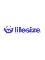 LifeSizeExpress 200