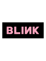 BlinkR536 QSG