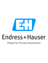Endres+Hauser EA HistoROM Mounting Instruction