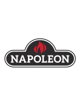 Napoleon Fireplaces1900 EPI 1101