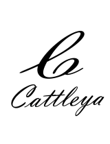 C Cattleya120VAC 60Hz Ceiling Fixture