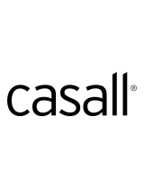 CasallInfinity 1.2B