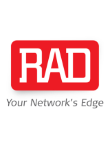 RAD Data commRIC-E1