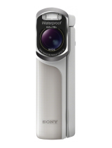 Sony HDR-GW77VE de handleiding