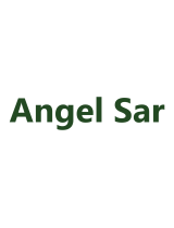 Angel SarLP000143AAE