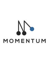 MomentumMOCAM-720-01