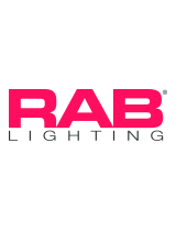 RAB LightingSHARK4-50W/480/D10/LC