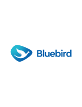 BluebirdBB26