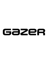 Gazercar video interface