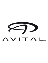 Avital4003L