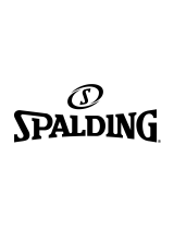 Spalding214973A
