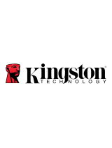 Kingston TechnologyE100