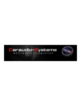 Caraudio SystemsCX-400