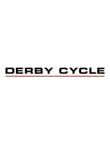 Derby cyclePedelec Impulse Evo RS