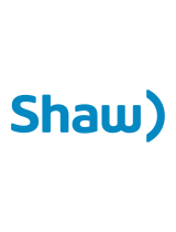 ShawLX52207216