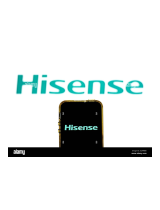 Hisense ElectricW9HLCDB0001