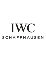 IWCingenieur dual time titanum reference 3264
