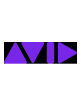 Avid MediaMedia Composer 5.5