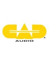 CAD AudioWXGTS Digital Wireless Guitar System