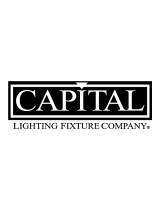 Capital Lighting4234AB