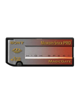 Sony MSX-1GS Руководство пользователя
