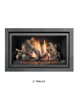 FireplaceXtrordinair564 GSR2