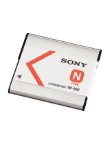 Sony NP-BN1 Manuale utente