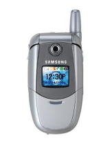 Samsung SGH-E300T Manuale utente