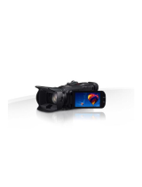 Canon LEGRIA HF G30 Kasutusjuhend